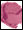 Lip Colour 307